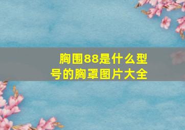 胸围88是什么型号的胸罩图片大全