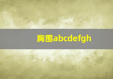 胸围abcdefgh