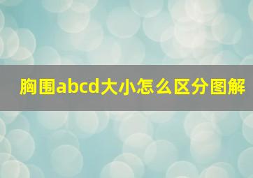 胸围abcd大小怎么区分图解