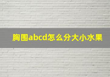 胸围abcd怎么分大小水果