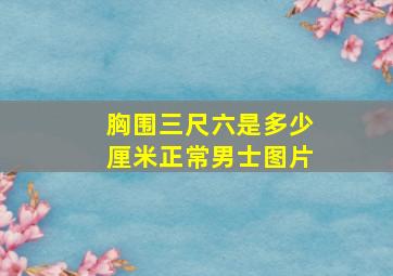 胸围三尺六是多少厘米正常男士图片