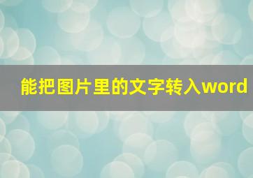 能把图片里的文字转入word