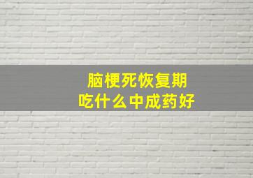 脑梗死恢复期吃什么中成药好