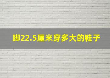 脚22.5厘米穿多大的鞋子