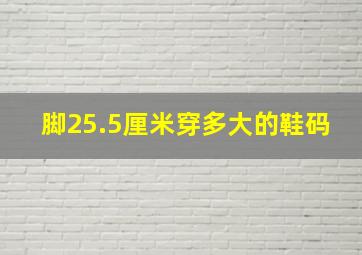 脚25.5厘米穿多大的鞋码