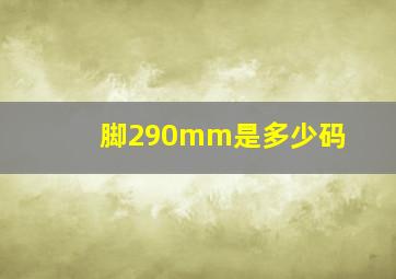 脚290mm是多少码