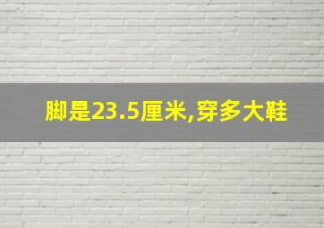 脚是23.5厘米,穿多大鞋