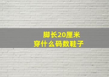 脚长20厘米穿什么码数鞋子