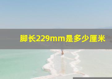 脚长229mm是多少厘米