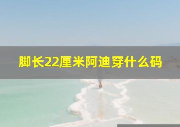 脚长22厘米阿迪穿什么码