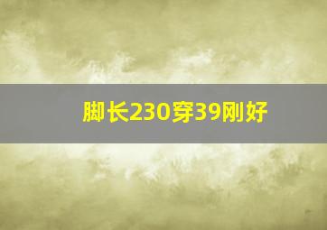 脚长230穿39刚好