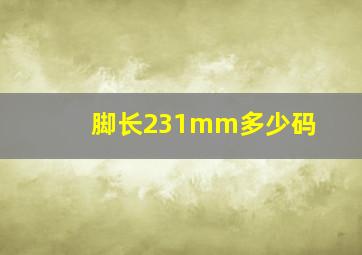 脚长231mm多少码