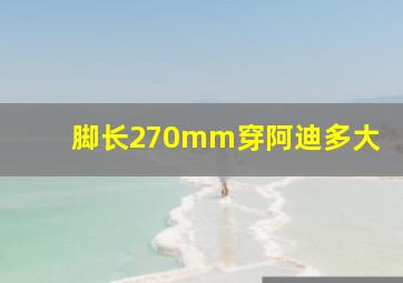 脚长270mm穿阿迪多大