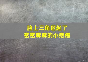 脸上三角区起了密密麻麻的小疙瘩