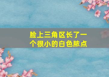 脸上三角区长了一个很小的白色脓点