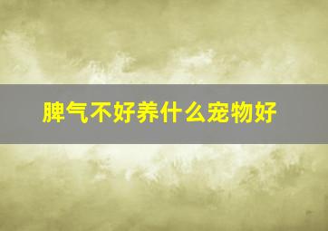 脾气不好养什么宠物好