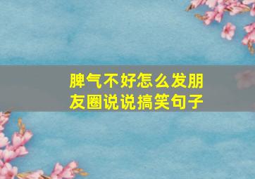 脾气不好怎么发朋友圈说说搞笑句子