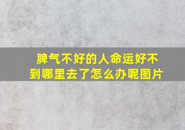 脾气不好的人命运好不到哪里去了怎么办呢图片