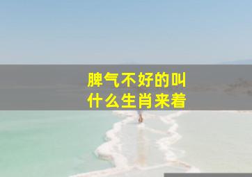 脾气不好的叫什么生肖来着