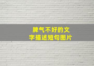 脾气不好的文字描述短句图片