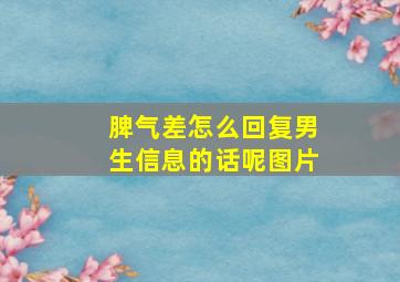 脾气差怎么回复男生信息的话呢图片