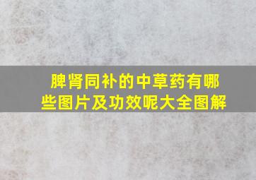 脾肾同补的中草药有哪些图片及功效呢大全图解