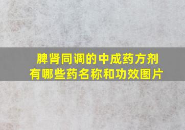 脾肾同调的中成药方剂有哪些药名称和功效图片