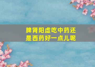 脾肾阳虚吃中药还是西药好一点儿呢