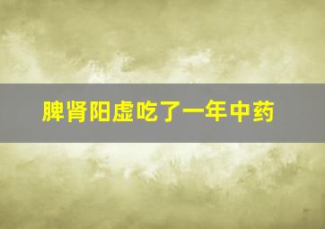 脾肾阳虚吃了一年中药