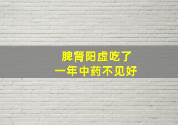 脾肾阳虚吃了一年中药不见好