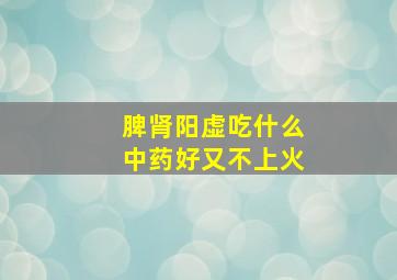 脾肾阳虚吃什么中药好又不上火