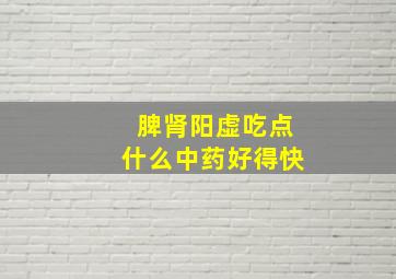 脾肾阳虚吃点什么中药好得快