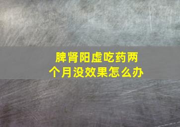 脾肾阳虚吃药两个月没效果怎么办