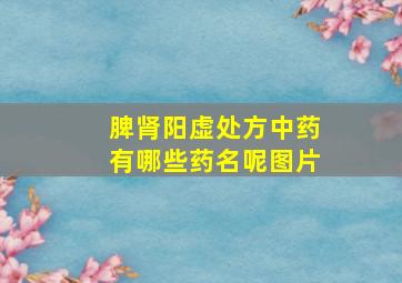 脾肾阳虚处方中药有哪些药名呢图片