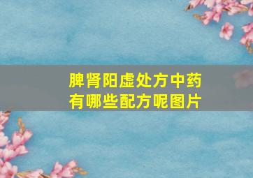 脾肾阳虚处方中药有哪些配方呢图片