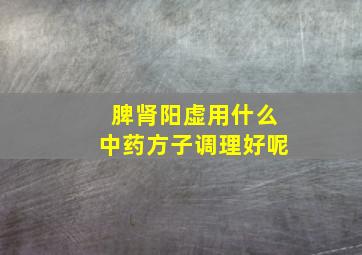 脾肾阳虚用什么中药方子调理好呢