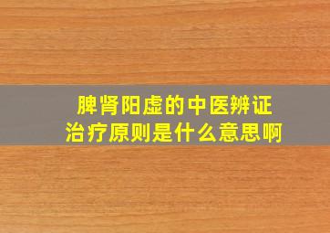 脾肾阳虚的中医辨证治疗原则是什么意思啊