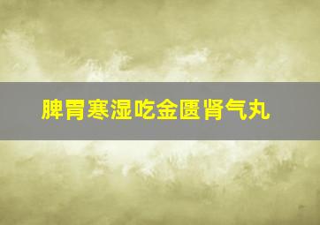 脾胃寒湿吃金匮肾气丸