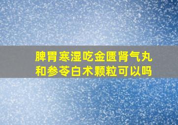 脾胃寒湿吃金匮肾气丸和参苓白术颗粒可以吗