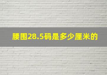 腰围28.5码是多少厘米的