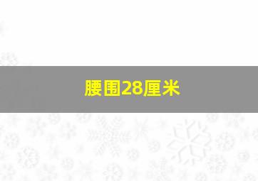 腰围28厘米