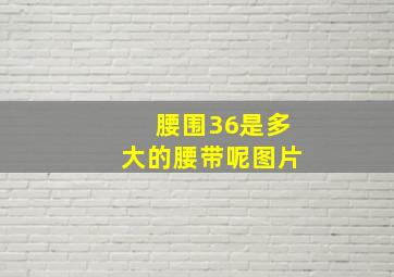 腰围36是多大的腰带呢图片