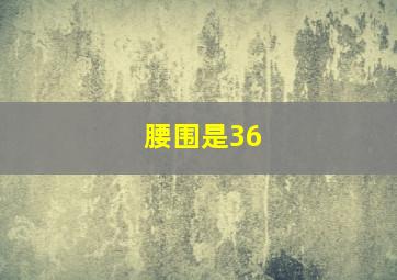 腰围是36