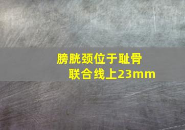 膀胱颈位于耻骨联合线上23mm