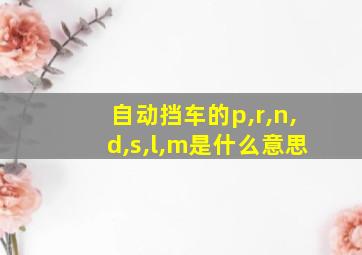 自动挡车的p,r,n,d,s,l,m是什么意思