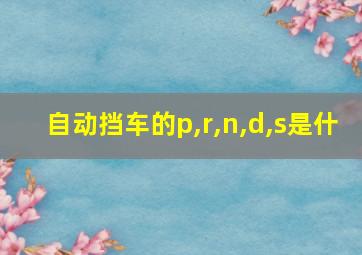 自动挡车的p,r,n,d,s是什