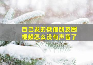 自己发的微信朋友圈视频怎么没有声音了