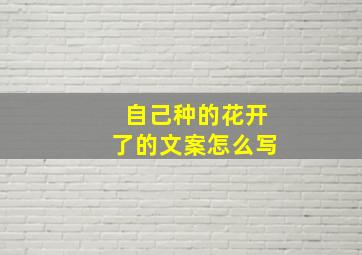 自己种的花开了的文案怎么写