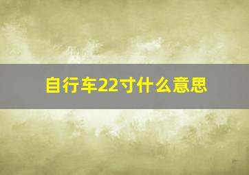 自行车22寸什么意思