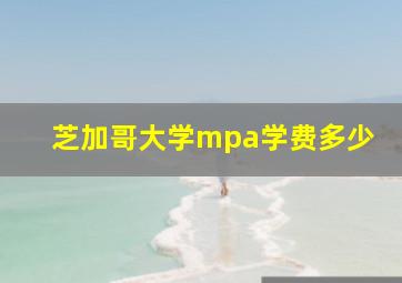 芝加哥大学mpa学费多少